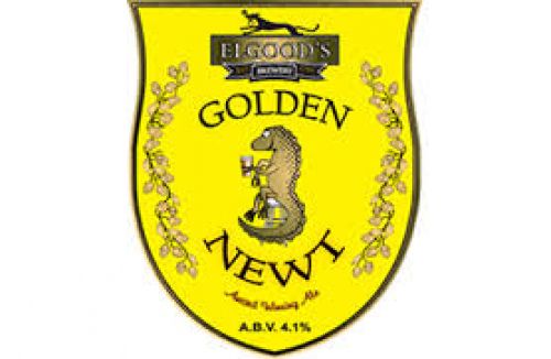 Golden Newt